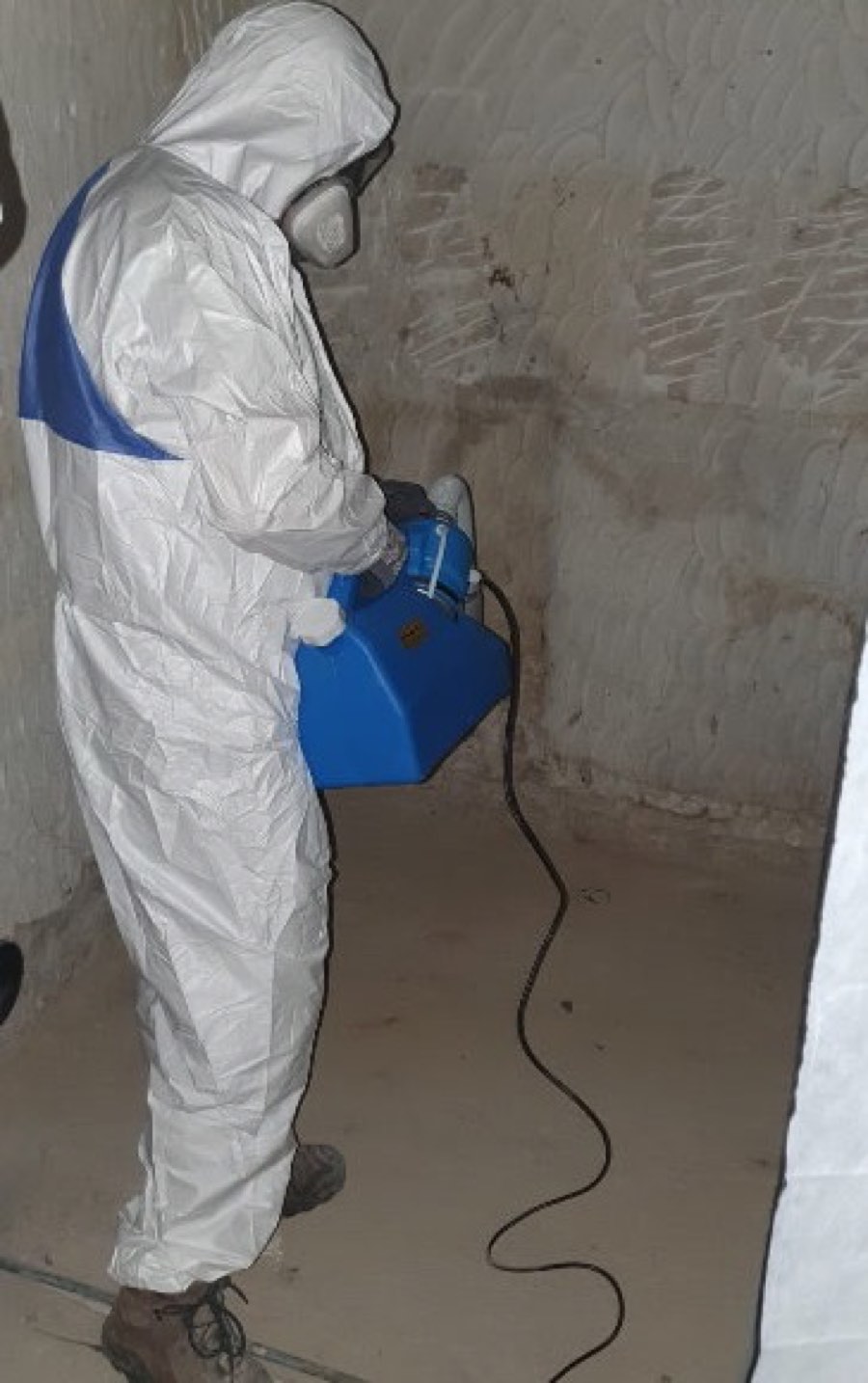 Mitarbeiter in Vollschutzanzug mit Atemschutz behandelt eine Kellerwand mit einem Kaltnebelgerät
