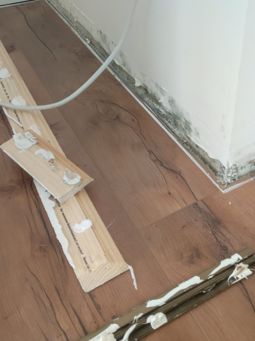 Schimmelbefall an einer Wandecke
